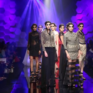 Caterpillar to Butterfly