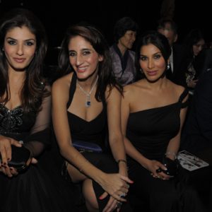 Aptly Titled A Royal Affaire